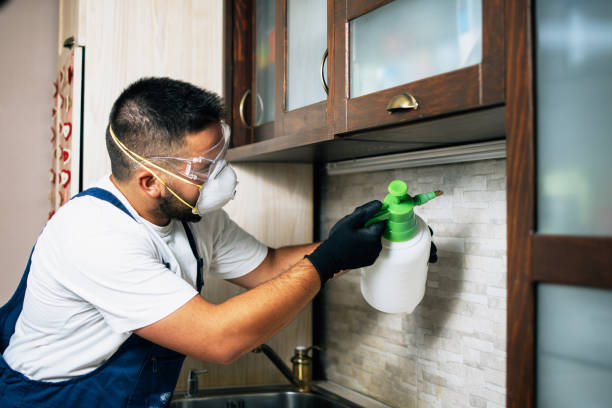 Best Exterminator Services  in Tualatin, OR