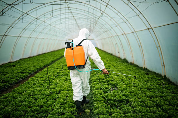 Best Commercial Pest Control Services  in Tualatin, OR