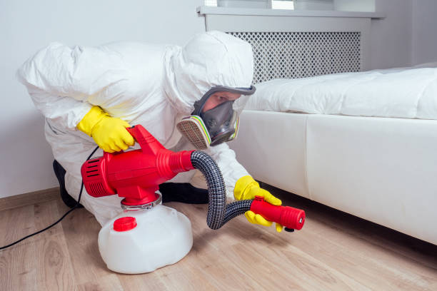 Best Rodent Control Near Me  in Tualatin, OR