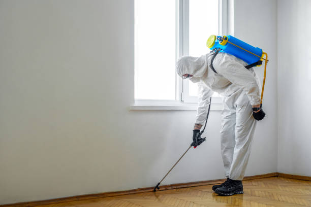 Professional Pest Control in Tualatin, OR