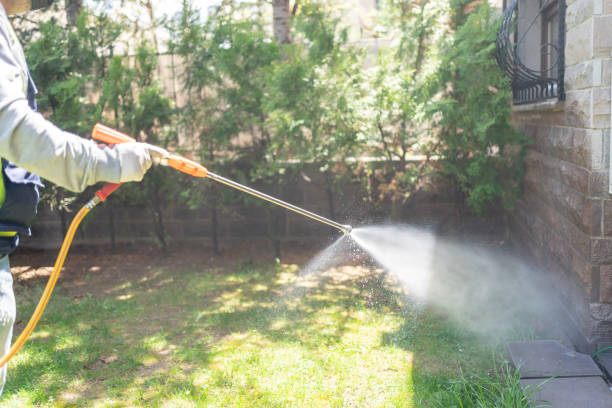 Best Local Pest Control Services  in Tualatin, OR