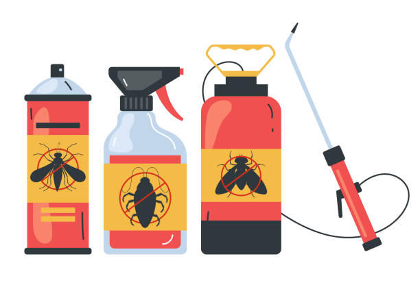 Best Spider Control Near Me  in Tualatin, OR