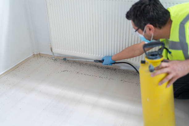 Best Pest Removal Services  in Tualatin, OR